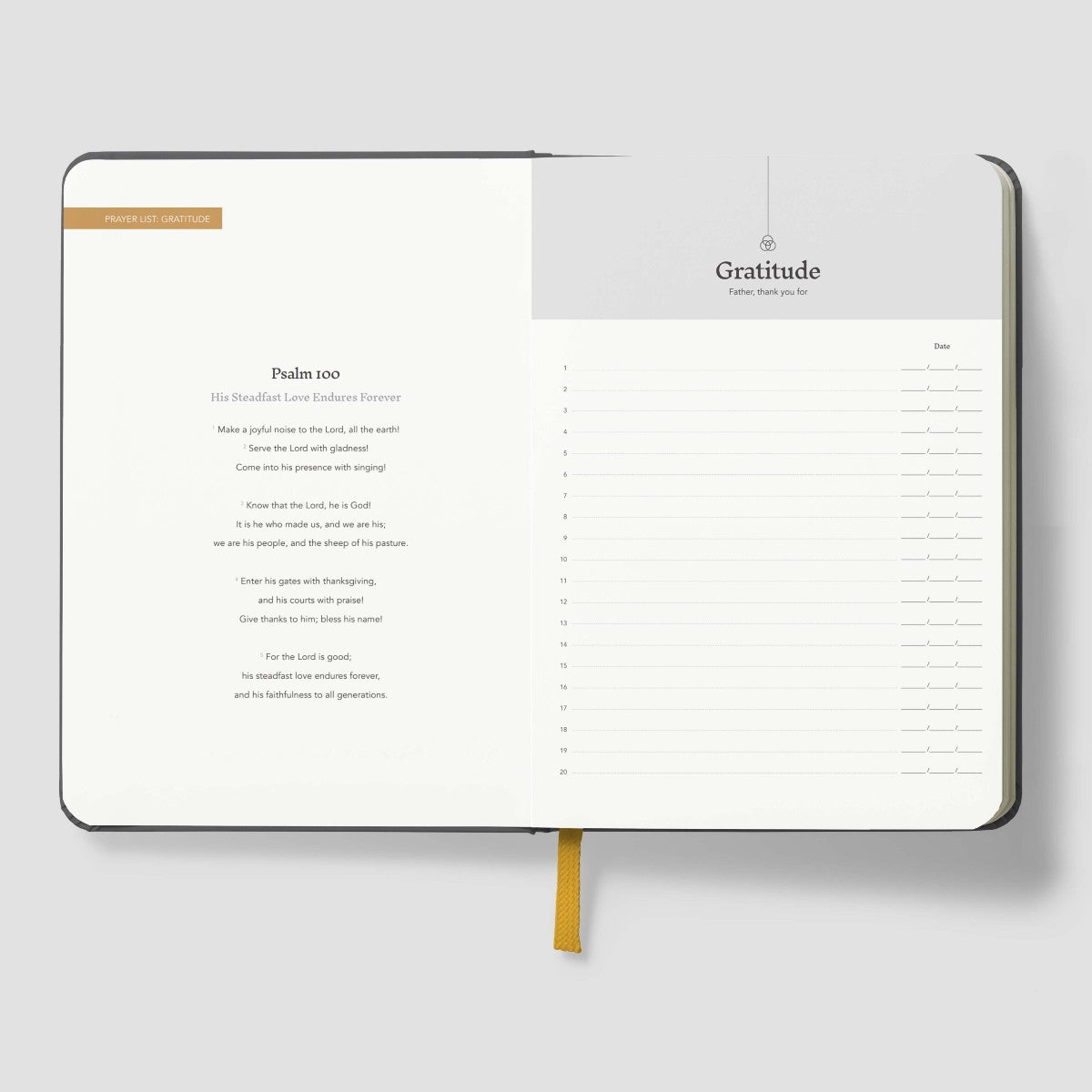 Joy Journal